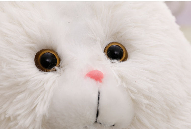 Persian Cat Plush Toy