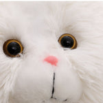 Persian Cat Plush Toy